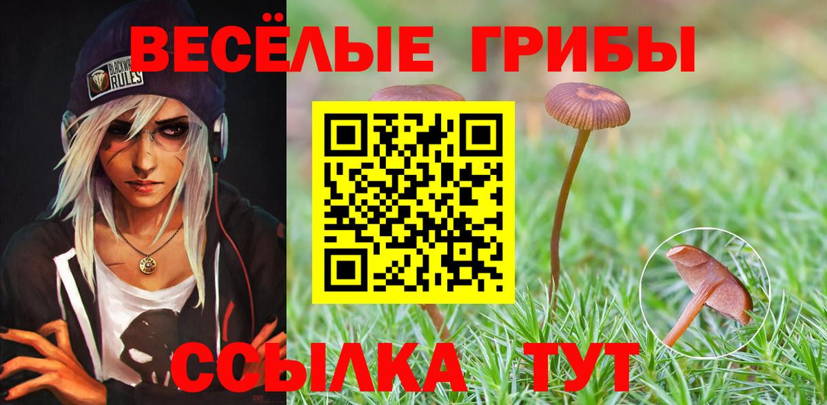 Миасс  Псилоцибиновые грибы ЛСД  дарнет шоп  Вход с VPN 